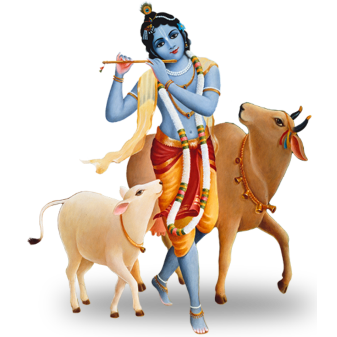 08. आमलकी एकादशी